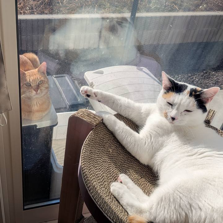 25096a6d c9aa 4e49 a750 fb149ed9cc49 1763598608485