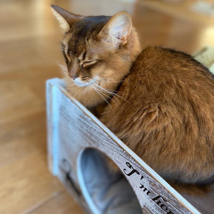 2509a9b2 4c41 41a7 b654 edd440e8a17d 1675928331065