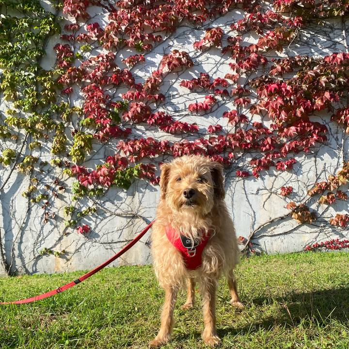 2509af3f 67bc 4539 b5dd 9e3e6801c980 1696724630913