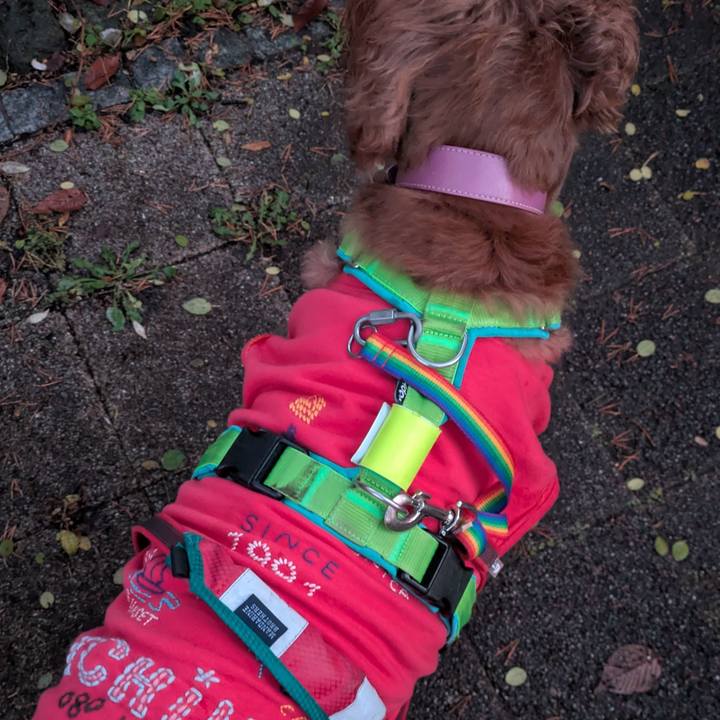 2509e122 724d 437b 8ba1 46e8b00d9067 1763978766420