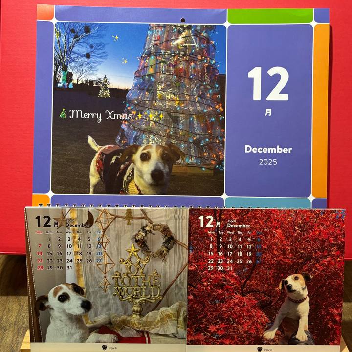 250a15a8 c0dc 4795 8072 92ae7777a380 1764586796647