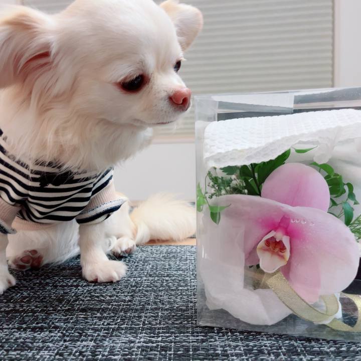 250a31b0 1f31 401d 8288 62097430edc6 1710424092661