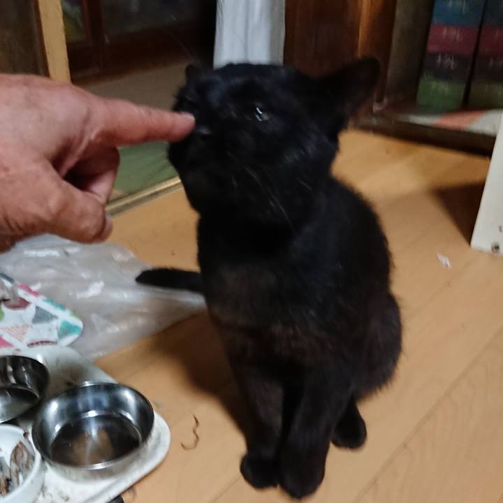 250a427f f1fa 46bd 87c6 46388d26fd11 1626348699346