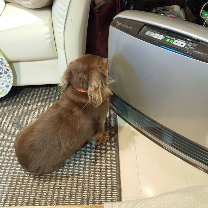 250a466a b400 4a9f a36e c542addfb11c 1548499567304