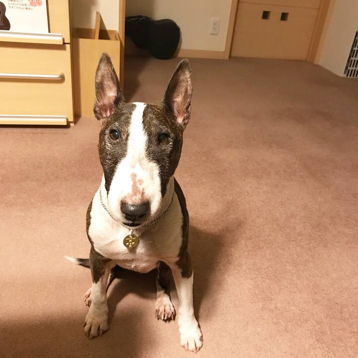 250a9a3a 4a6d 47fa 8943 b51a1575615d 1518869410578