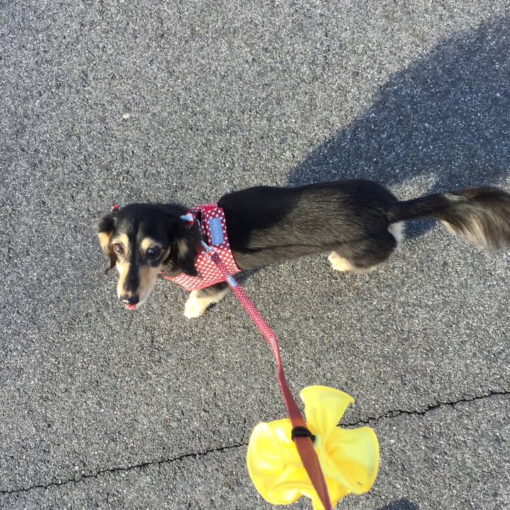 250aa8c9 cdba 4ab8 90a8 115cf266cabf 1511136715715