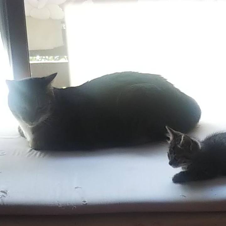 250ab791 34bd 475e 8f68 29c735fc7271 1633307180968