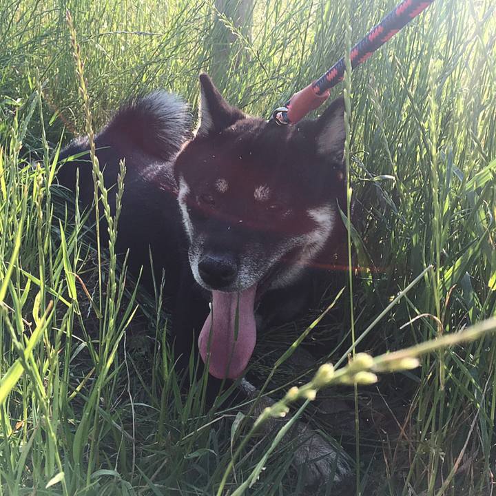 250aee8c 43f9 4069 93fa d6b84c5b9d22 1528077647707