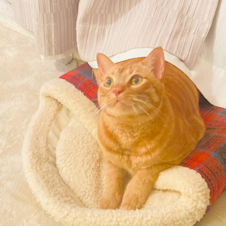 250b21c5 8352 49df a879 a391b249e9b1 1615115205180