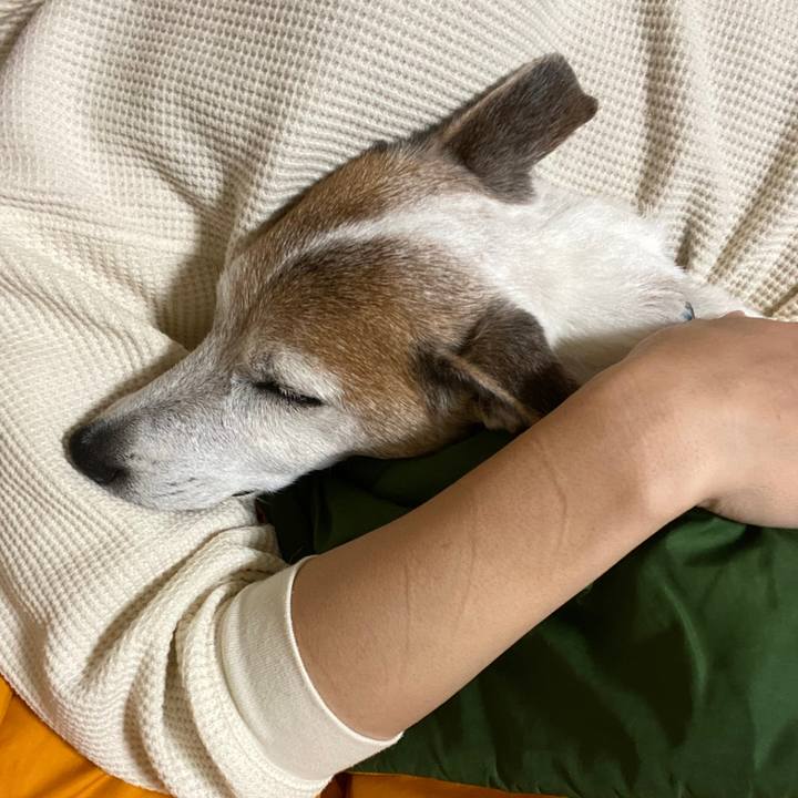 250b5919 334e 4ae4 839e 839d9e3faca3 1602536661211