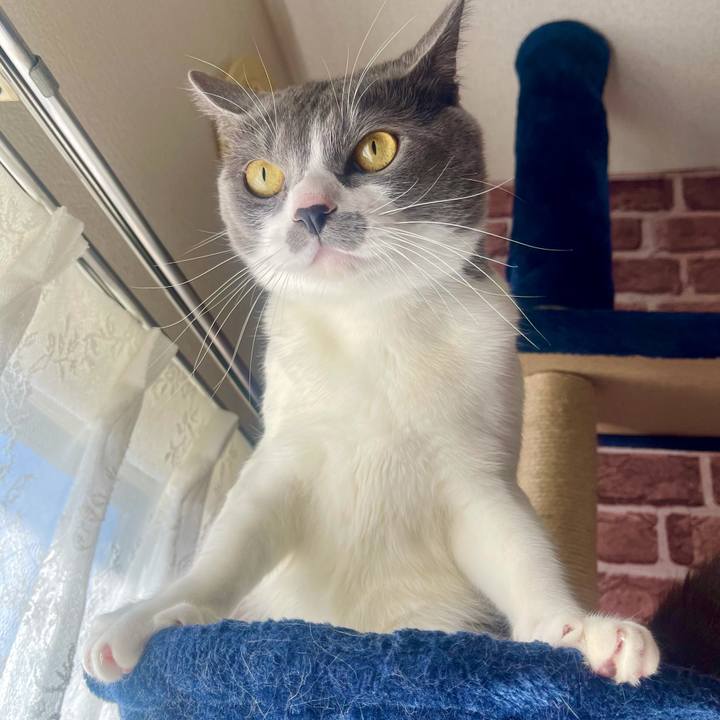 250b95d6 fcf4 4d6c 8839 1408fa737f59 1637973808790