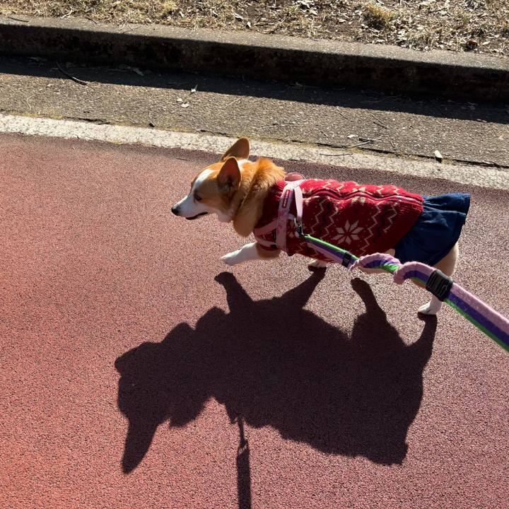 250ba3f2 56c9 49bf b5ba 6804a588e872 1768708662362