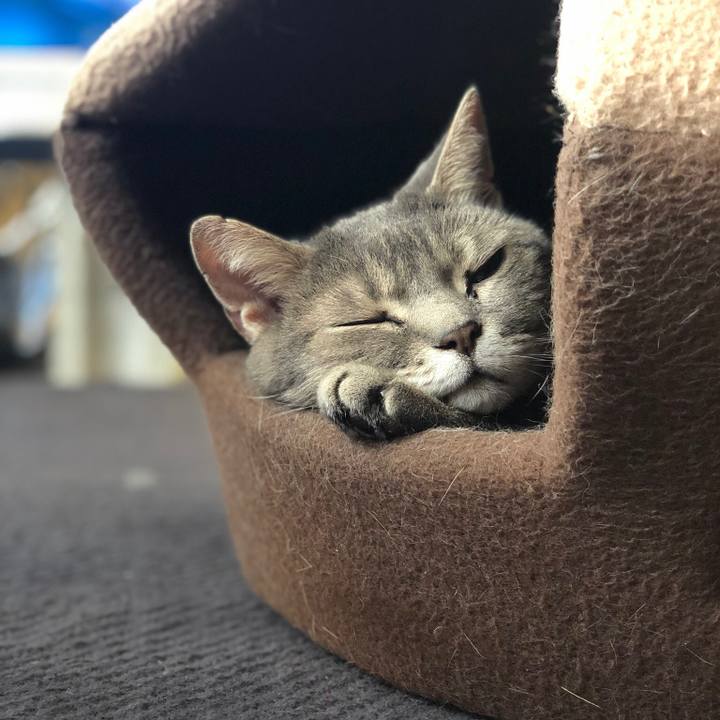 250bad6b cf70 44b4 a543 f14f805900bb 1544280821621