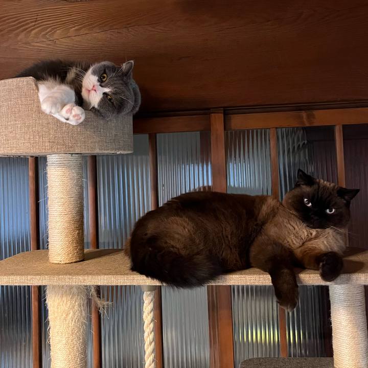 250c0821 8507 4769 a6d2 dfe9cfb1613a 1676688479389