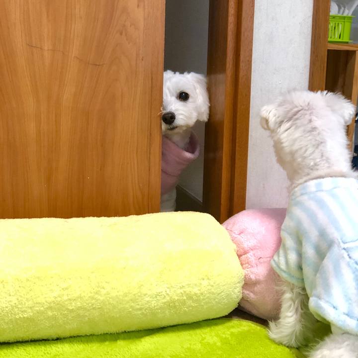 250c1f52 b214 4585 9bcb ad25e7170345 1577603561076