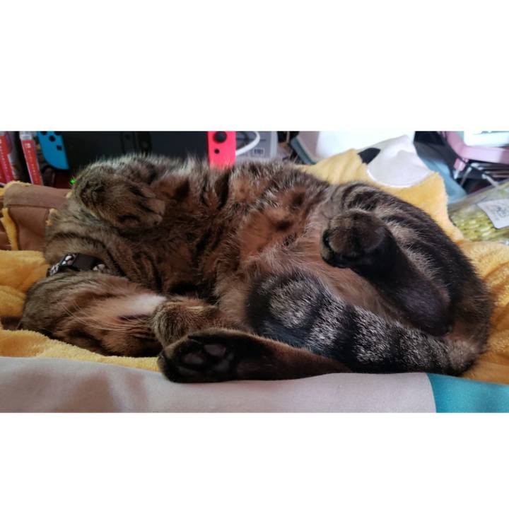 250c36a5 3951 48ba b02c 7c01d010d57c 1585741702686