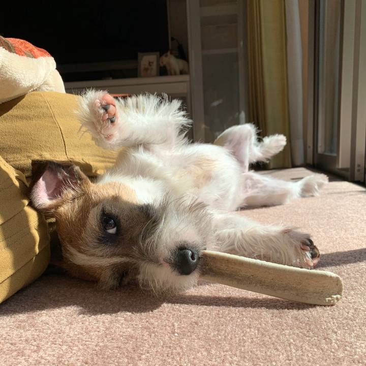 250c4151 c4cf 48b3 b05c 914b4fb2e037 1582082732400