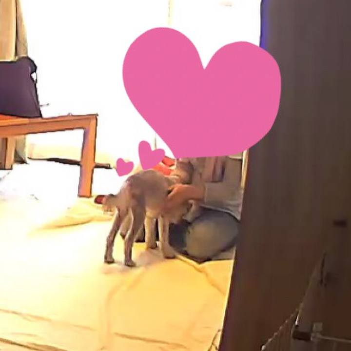 250c5440 6746 435e 99df 8d735be714fd 1599649720367