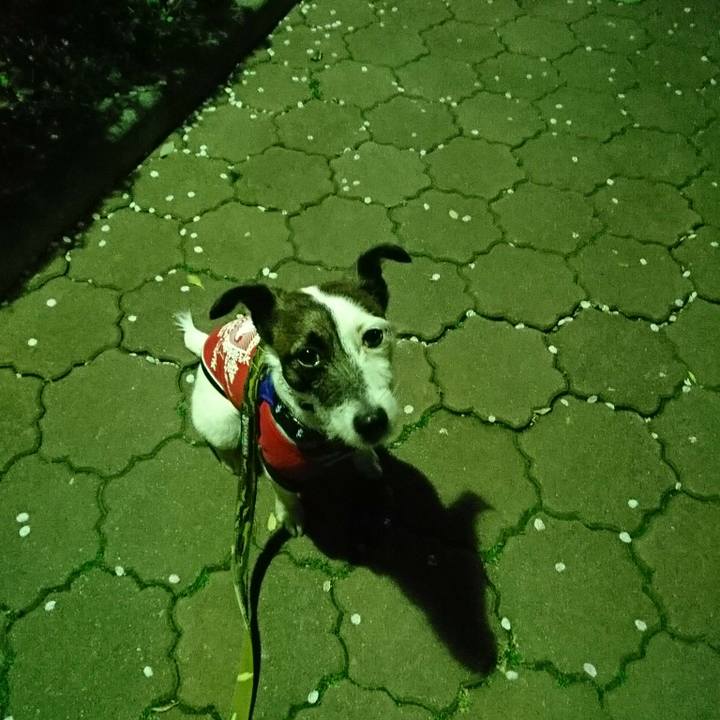 250c754e 0fe5 47de 8f3c 3bc06e3032ce 1522150728945