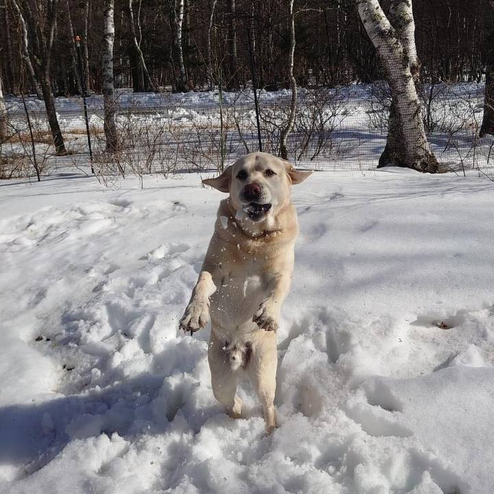 250c851d 00db 495d b554 b87ccfdab9ad 1740746187072