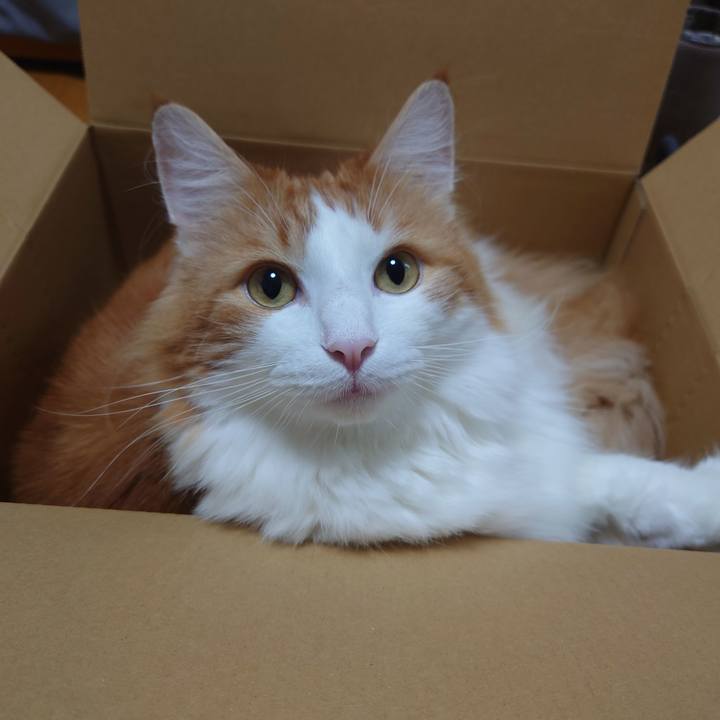 250c9d83 1305 4950 ac41 ba978a6b0720 1600562568987