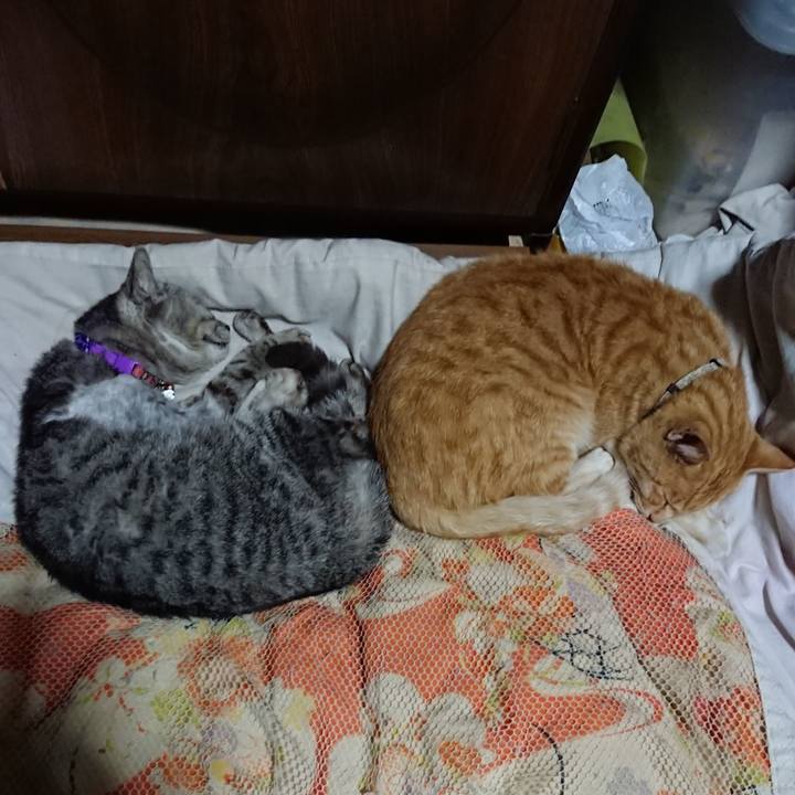 250cca0f 12b9 4aa4 b710 bc0d6f6470eb 1591619027613