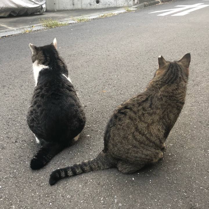 250cd709 0e47 4feb ae47 5658f0fd9b08 1522747350864