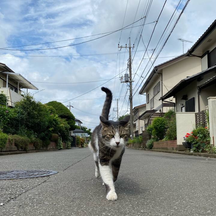 250ceb58 2bcb 4629 be95 11c89f0e581e 1623068592722