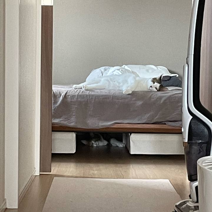 250cf4a5 7cbb 478e 9aa0 fd199f133612 1662420558411