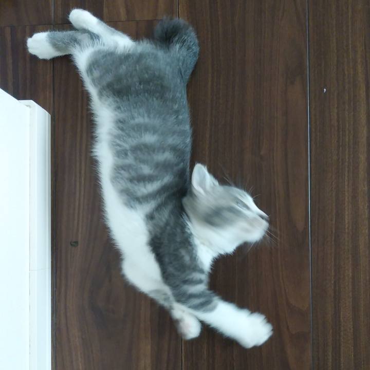 250d053b 29a1 42c2 ab8c eec89cc625ca 1561507814945