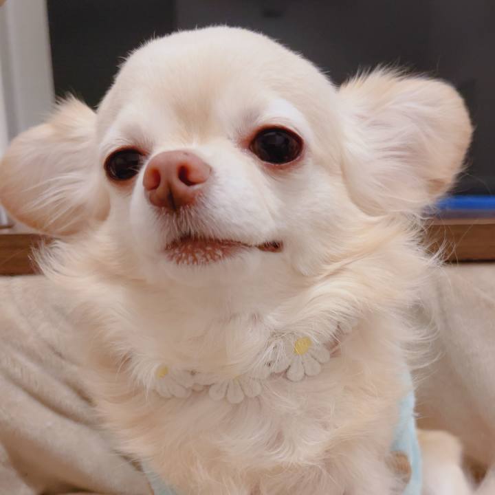 250d19fd 8e34 4ce8 b6ae 162629245a7c 1767013047214