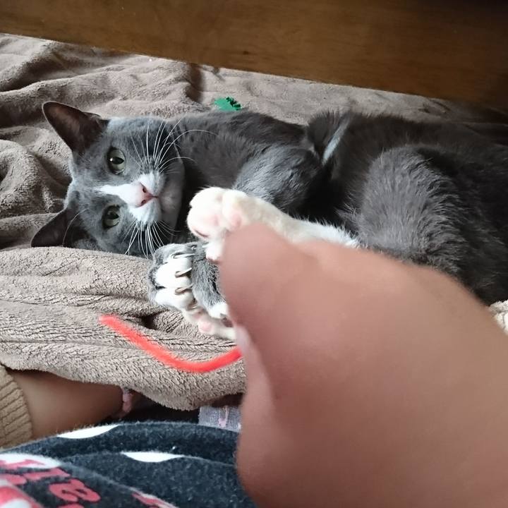 250d31c7 977f 4303 988f 3a8156fb7035 1513226668118