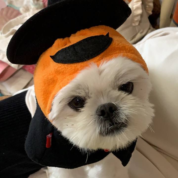 250d5f2f e664 40d2 84cf 1b3d558231fc 1635678967698