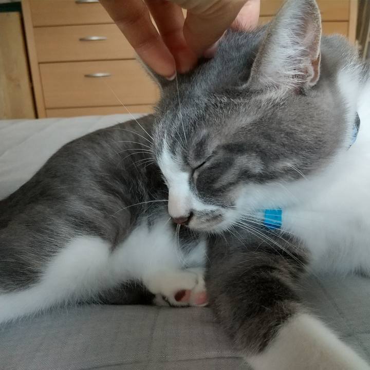 250d84ec 451f 42ac 98d5 a7d7ff1549ba 1596671776847