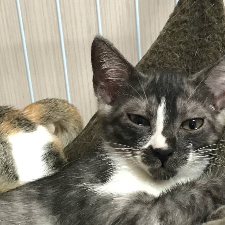 250d8c52 f1df 4e32 bb24 868b823ab249 1531583406647