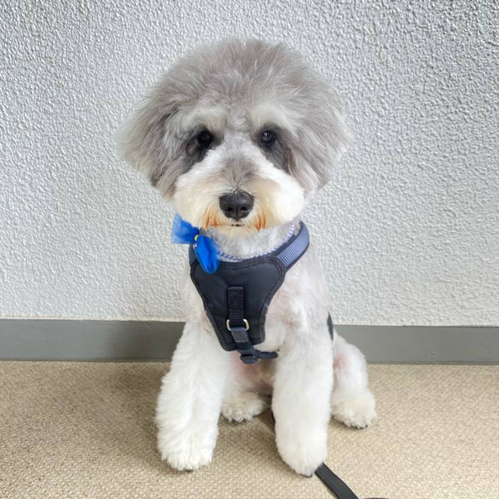 250e030b b660 4cd1 b8c3 1ff47742d868 1619928087399