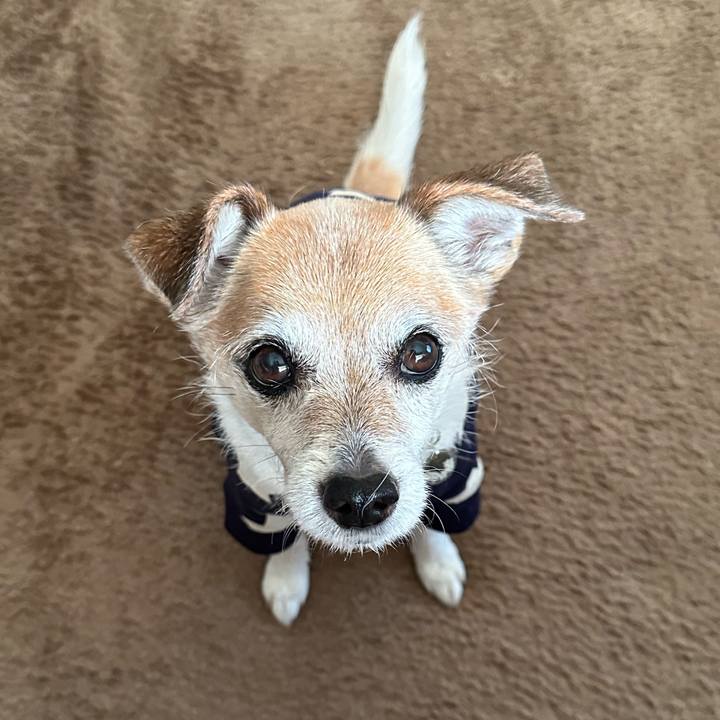 250e1da9 6256 4f1b b3f4 e57e837a1795 1678177856897