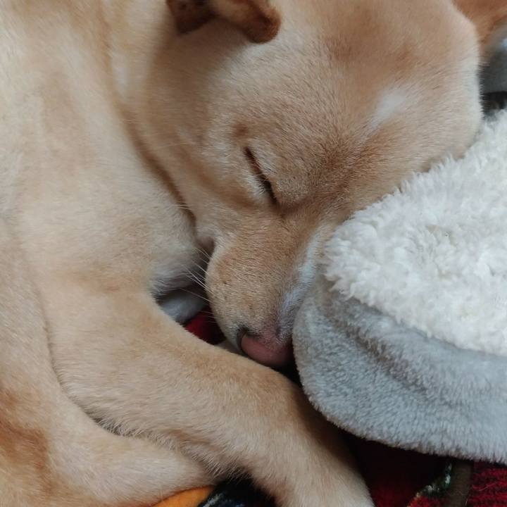 250e769d b3ab 4a46 823d 54e62751ec34 1516534699479