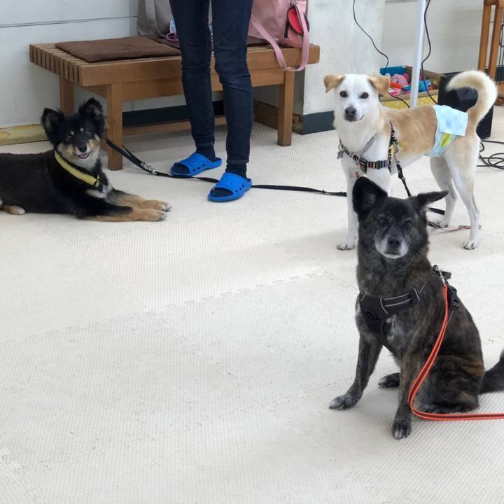 250e8d61 e753 4255 b661 875aaf9fe950 1624665370100