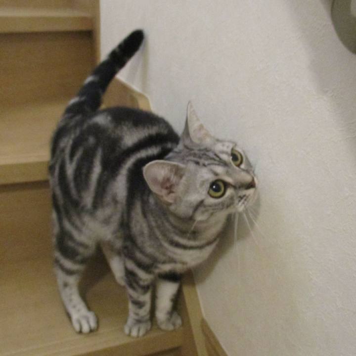 250e8d6d c9ff 448a 9c49 375c9e49eacb 1562705527273