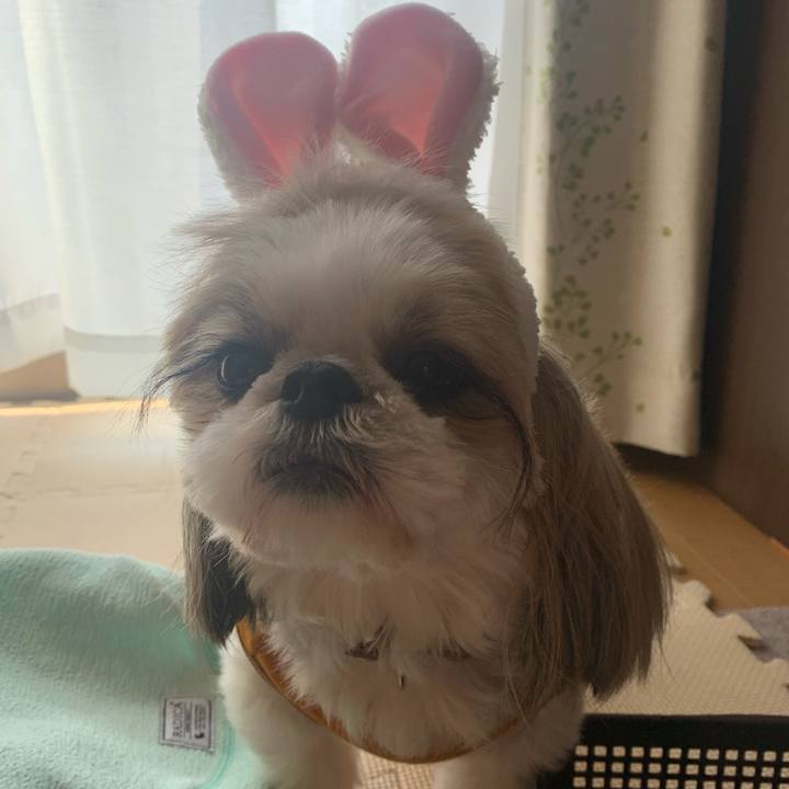 250e9612 dd08 47f2 bb68 e2ff23479c53 1703989010425