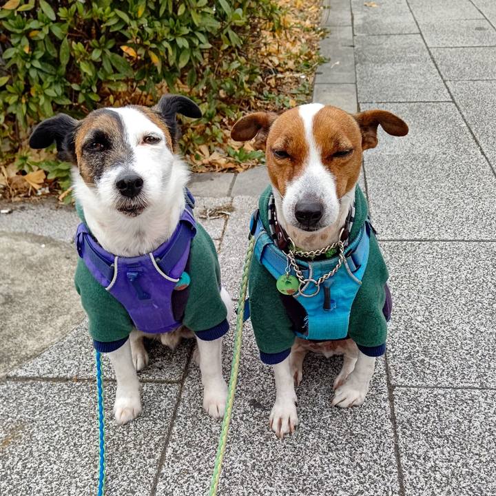 250ea625 cbc5 4f6f 87be 850764ec5a9a 1643515524870