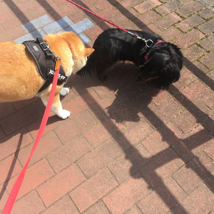 250ebcb3 91be 4cb1 ad9e c61775ad92c5 1616124563125