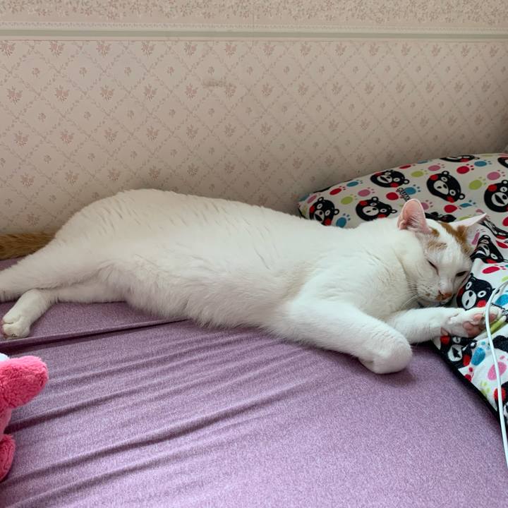 250edf9b 8683 4e75 883f a8090743659c 1623706816188