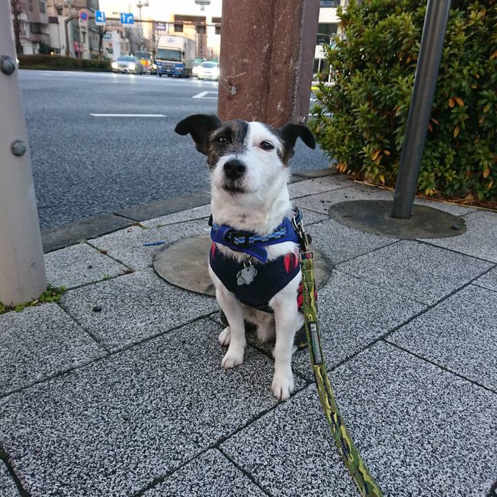 250ee9a4 236c 4cdd a8bc 15c528c751cb 1516226790997