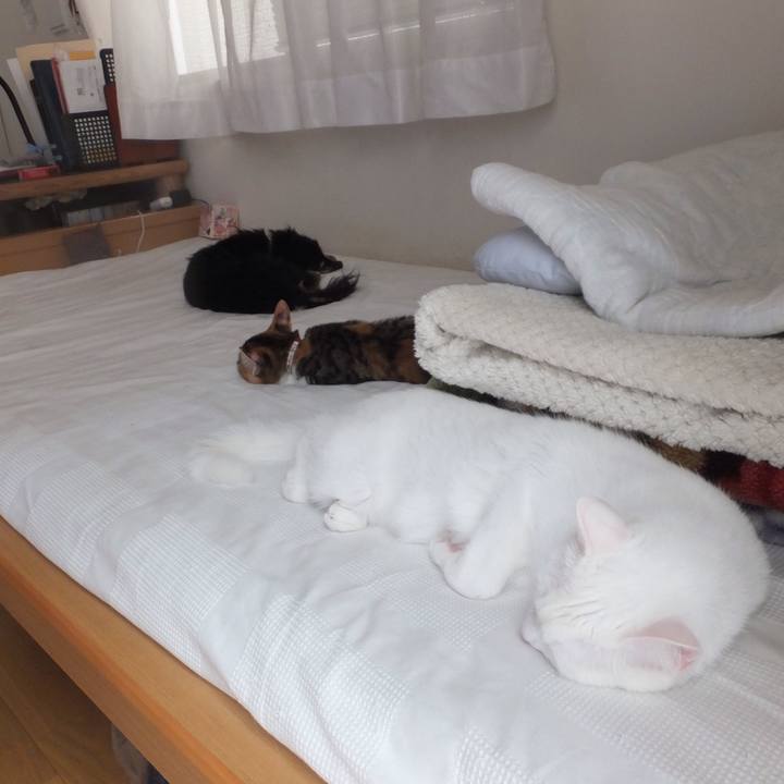 250f3521 1321 4018 a6e7 856307c0c545 1632278805777