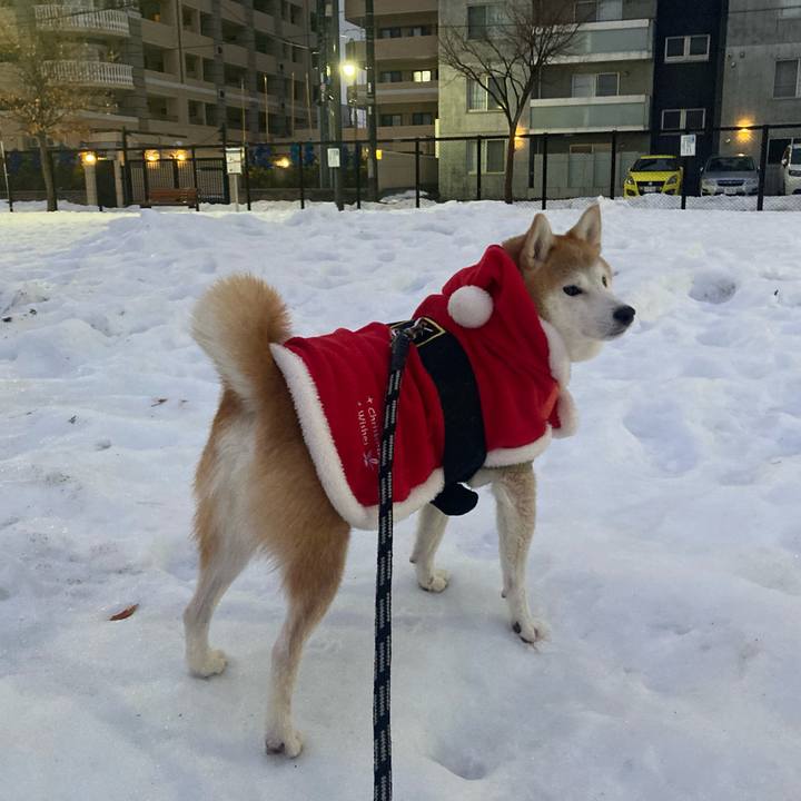 250f4ebc 52ab 4872 b782 3412021c3baa 1766800201667