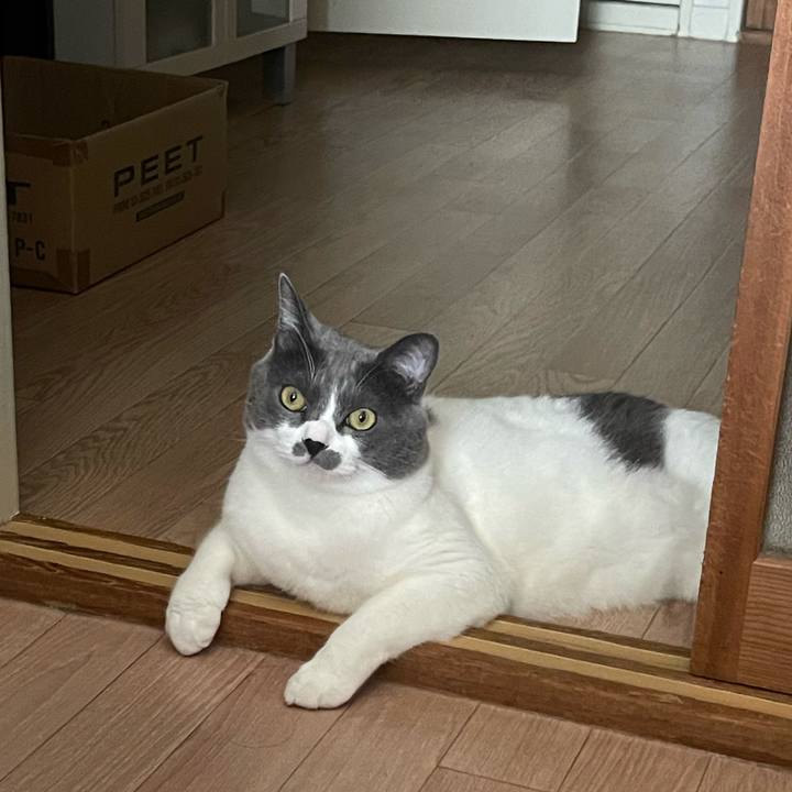 250f58db 2711 4c3d bdc7 a6fa2c6ded65 1700549141517