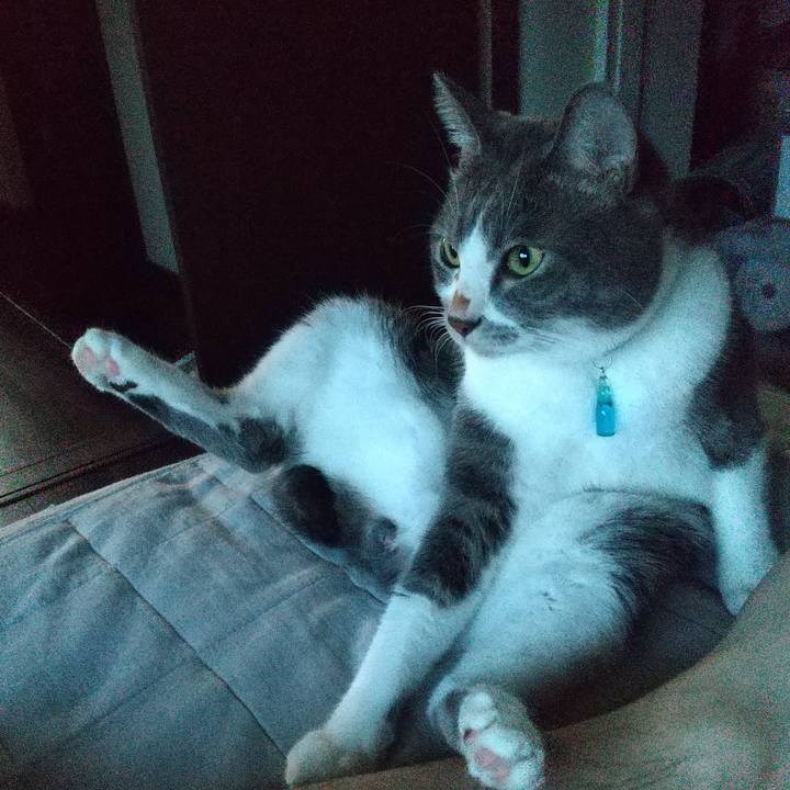 250f8236 1f12 449d 832d b3af4b644048 1632951506222