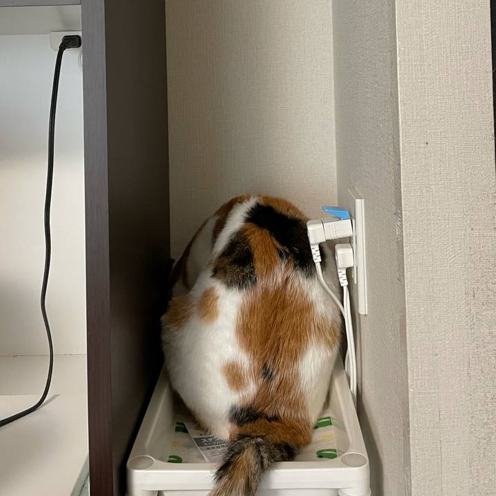 250f9d1c 6c14 4226 ba8a 353d2c996c33 1622763131778